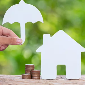 Our Insurance Products